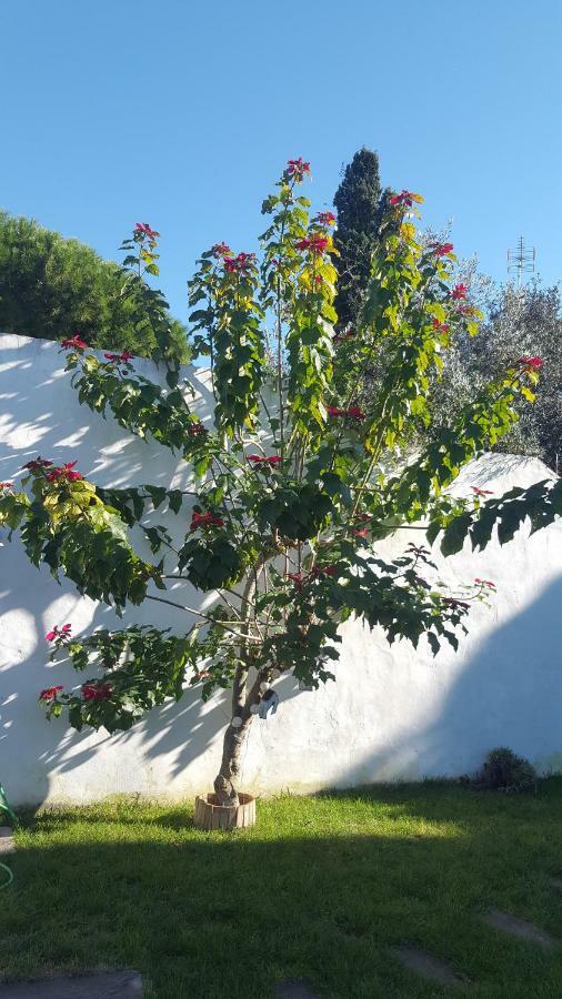 Affittacamere Casa Baro Zahora Esterno foto